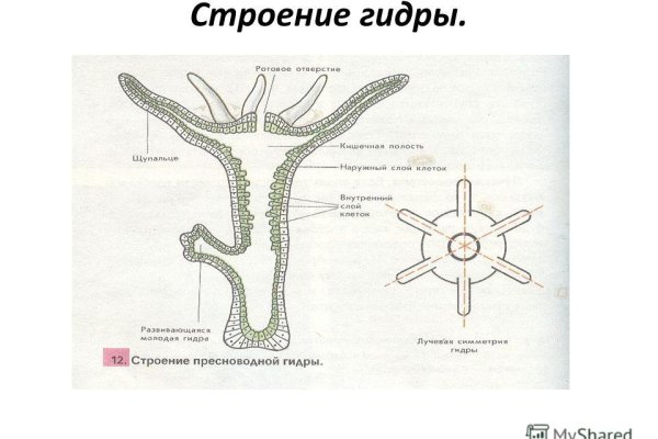 Аутентификатор кракен