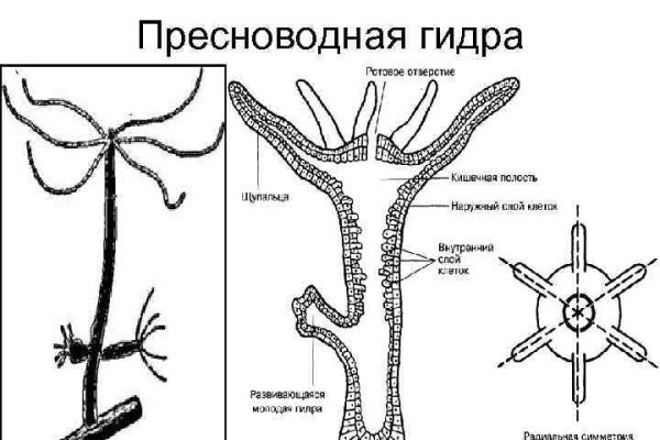 Кракен сайт ссылка k2tor online